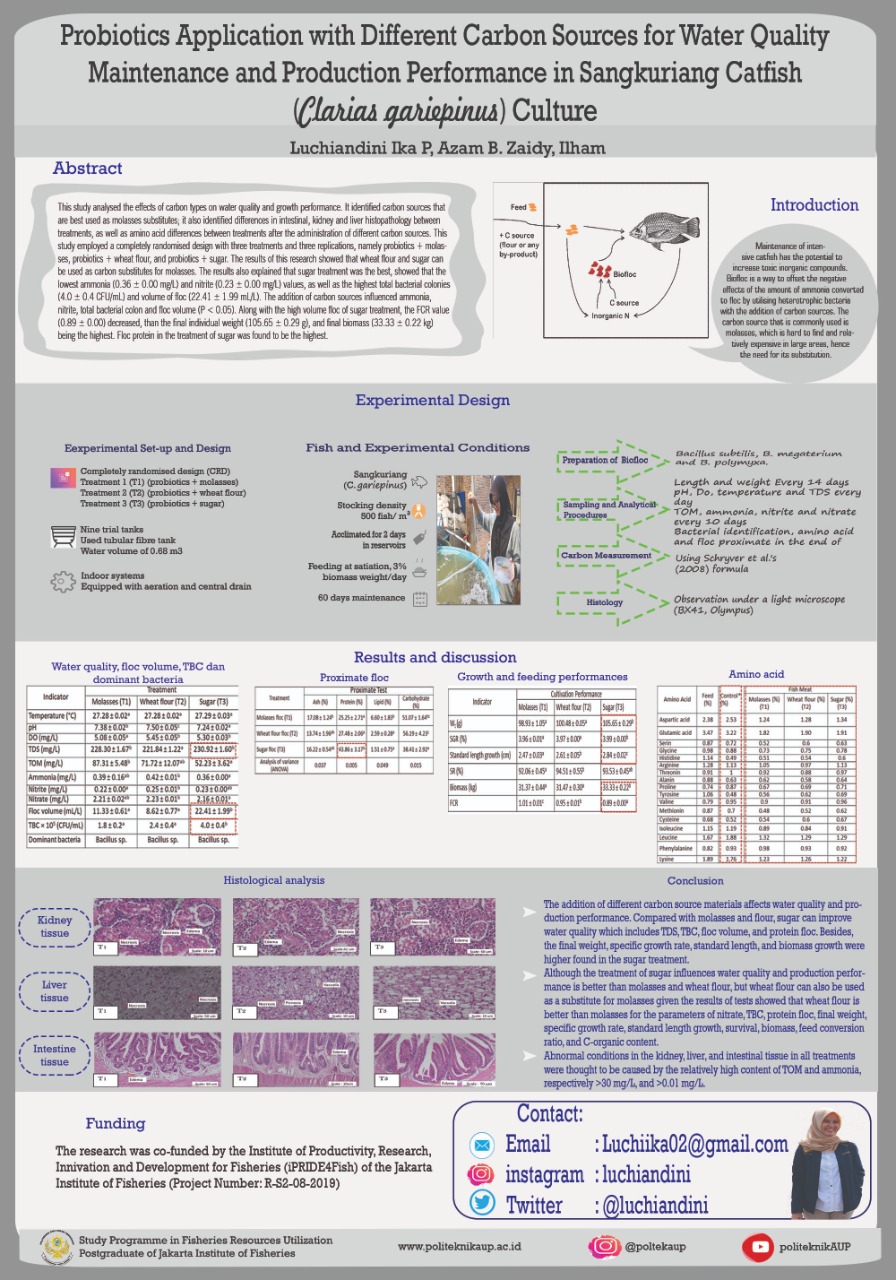 PROBIOTICS APPLICATION WITH DIFFERENT CARBON SOURCES FOR WATER QUALITY MAINTENENCE AND PRODUCTION PERFORMANCE IN SANGKURIANG CATFISH (CLARIAS GARIEPINUS) CULTURE